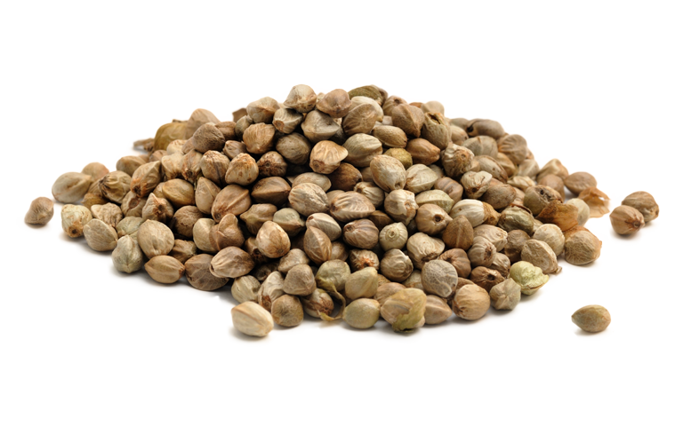 Hemp Seed