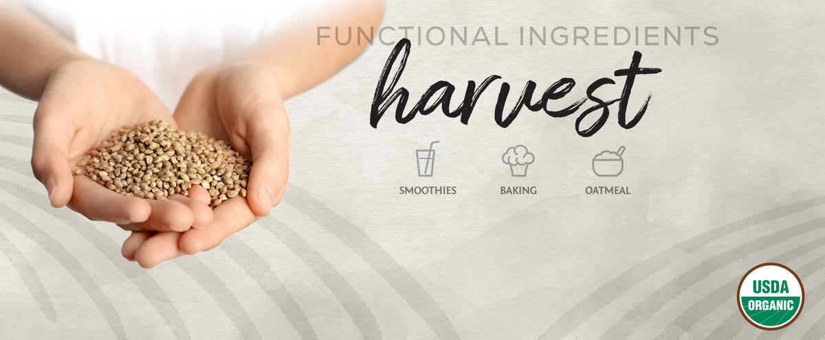 Organic Hemp Protein Powder - Life style banner image desktop