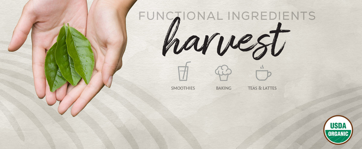 Organic Matcha Powder - Life style banner image desktop