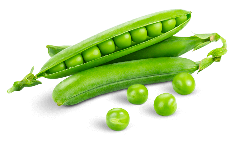 Yellow Peas